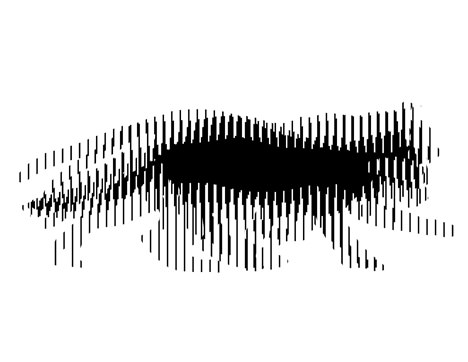 visual optical illusion