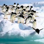 Beautiful Quotes On Management And Leadership