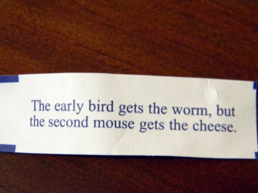 The early bird gets the worm, but the second mouse gets the cheese.