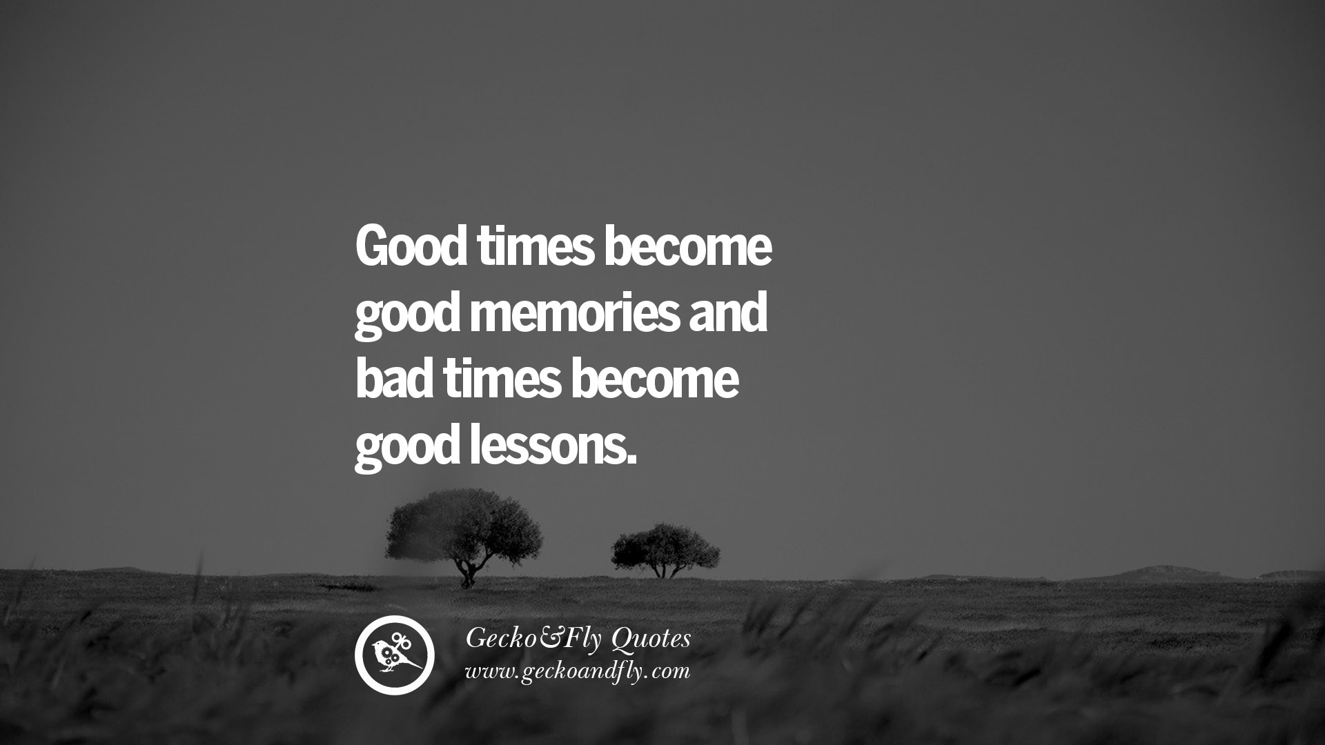 Quotes About Life Lessons And Mistakes Tumblr