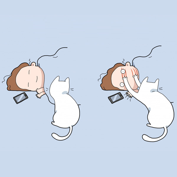 40 Funny Doodles For Cat Lovers and Your Cat Crazy Lady Friend