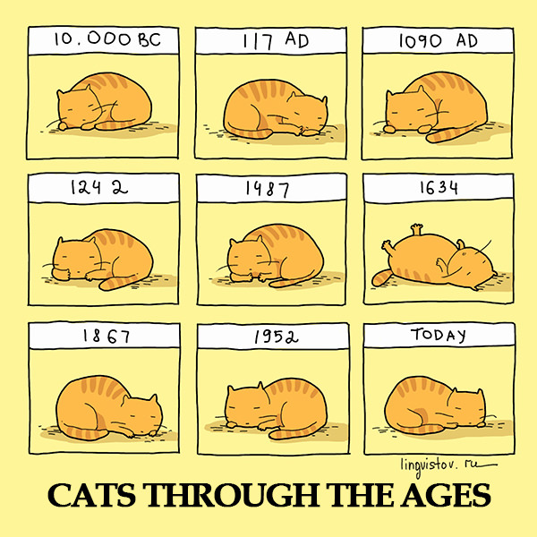 Cats through the ages 40 Funny Doodles For Cat Lovers and Your Cat Crazy Lady Friend grumpy tom talking nyan instagram pinterest facebook twitter comic pictures youtube