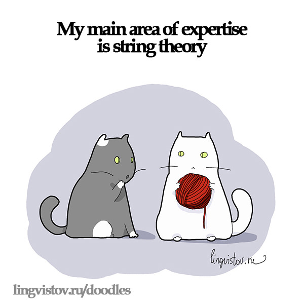 My main area of expertise is string theory. 40 Funny Doodles For Cat Lovers and Your Cat Crazy Lady Friend grumpy tom talking nyan instagram pinterest facebook twitter comic pictures youtube