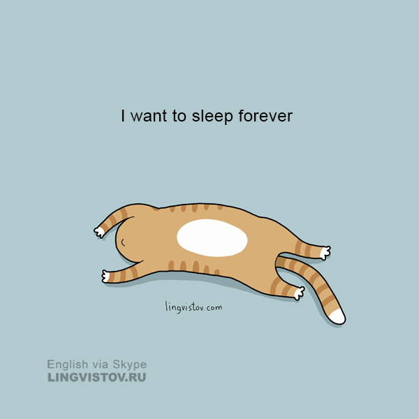 I want to sleep forever. 40 Funny Doodles For Cat Lovers and Your Cat Crazy Lady Friend grumpy tom talking nyan instagram pinterest facebook twitter comic pictures youtube