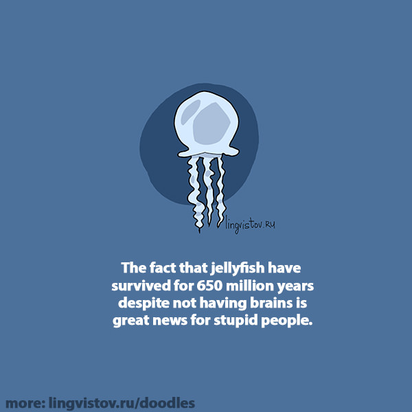 The fact that jellyfish have survived for 650 million years despite not having brains is great news for stupid people.