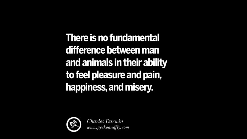 There is no fundamental difference between man and animals in their ability to feel pleasure and pain, happiness, and misery. - Charles Darwin