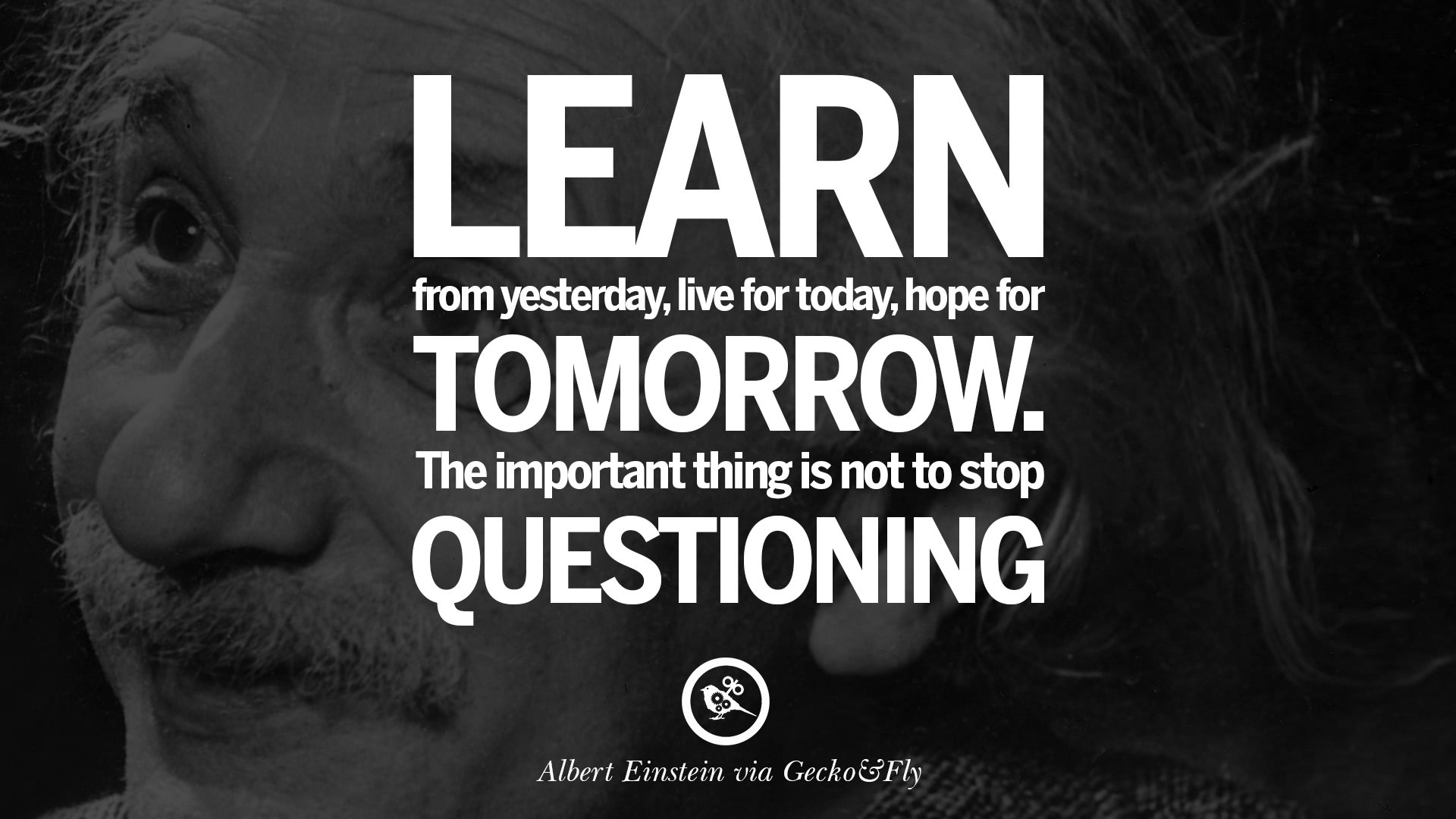 albert einstein knowledge quotes