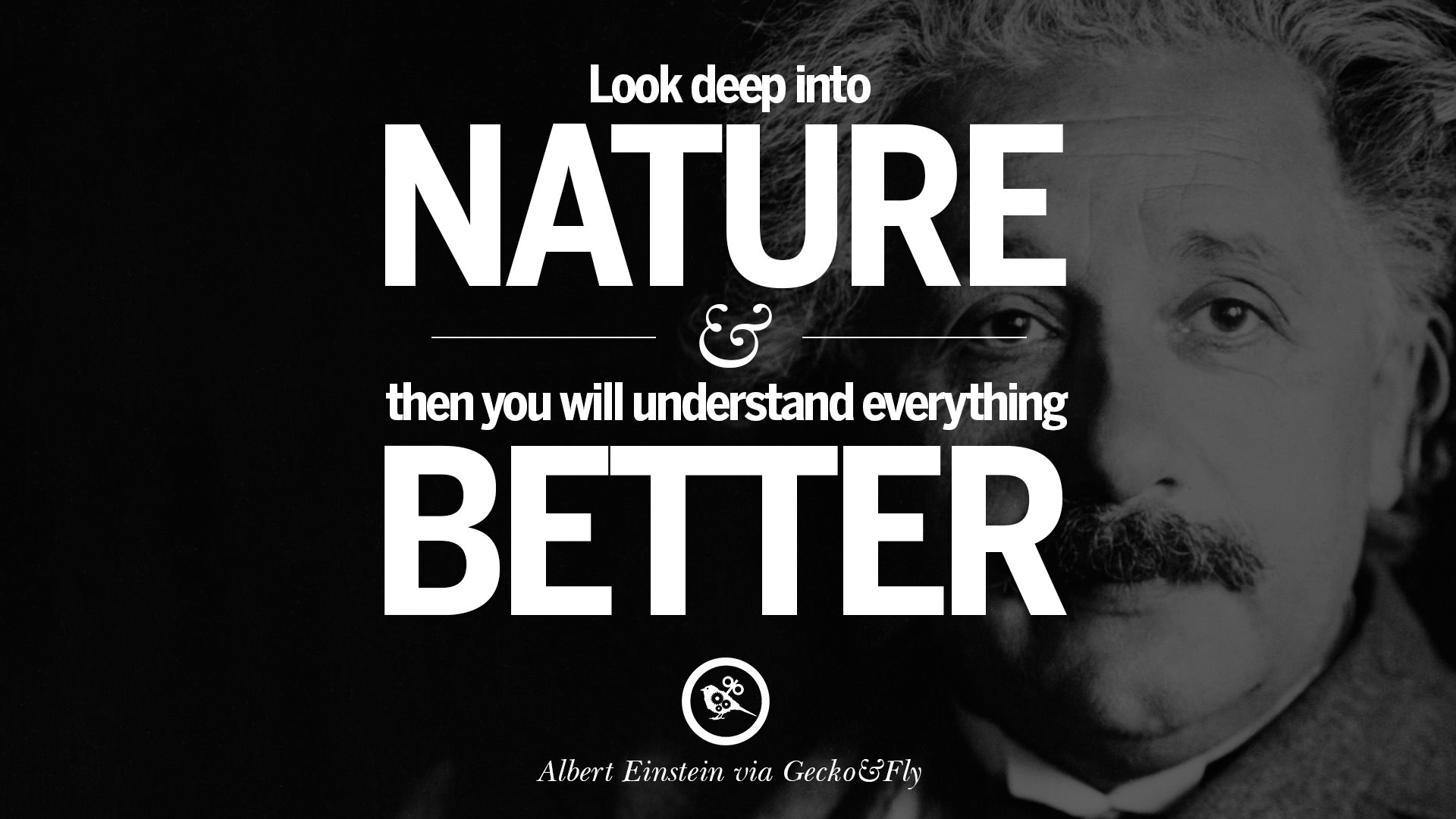 40 Beautiful Albert Einstein Quotes on God Life Knowledge and Imagination