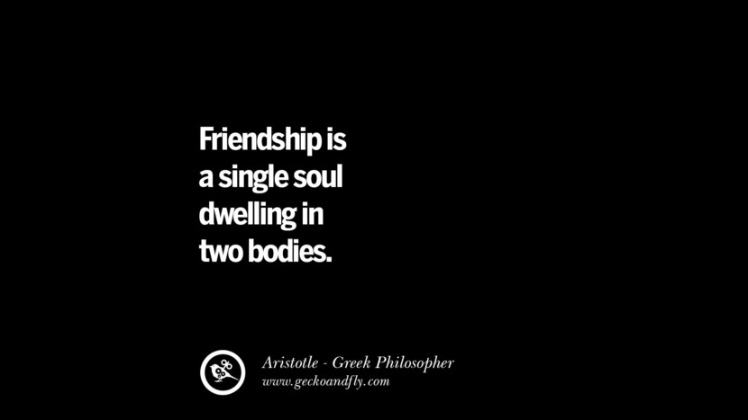 La amistad es una sola alma que habita en dos cuerpos.La amistad es una sola alma que habita en dos cuerpos.