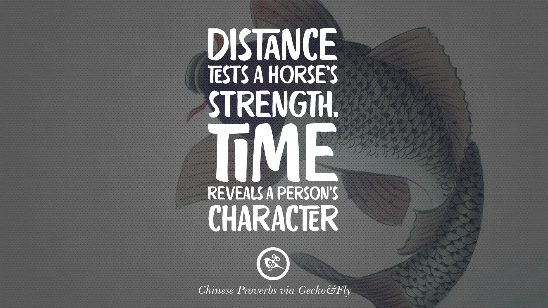 Ancient Chinese Proverbs and Distance tests a horse s strength Time reveals a person s character