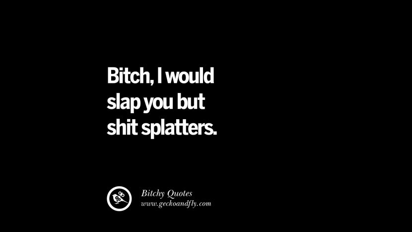 Bitch, I would slap you but shit splatters.