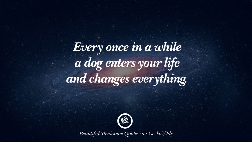 Every once in a while a dog enters your life and changes everything.