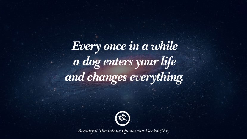 Every once in a while a dog enters your life and changes everything.