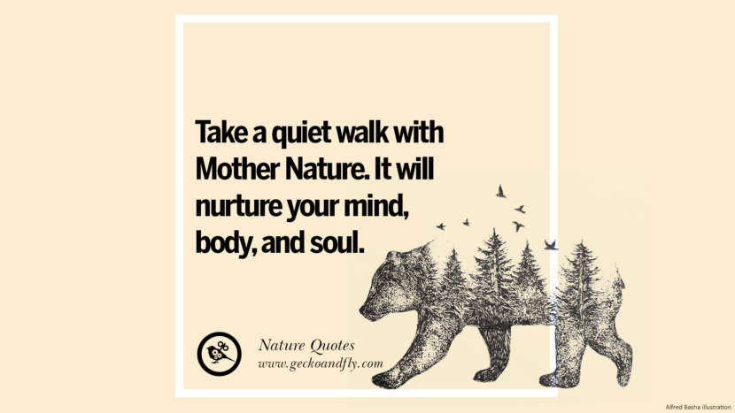 Take a quiet walk with mother nature. It will nurture your mind, body, and soul.