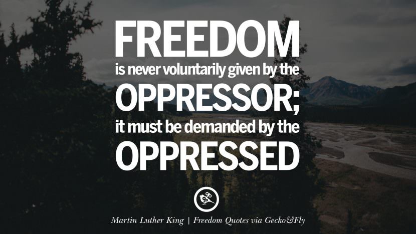 Freedom is never voluntarily given by the oppressor; it must be demanded by the oppressed. - Martin Luther King