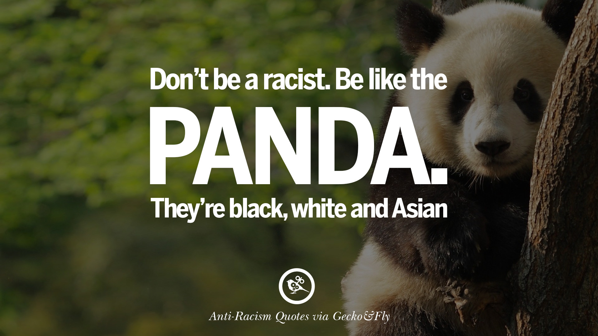 racism racism quotes 02