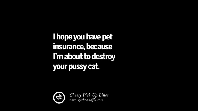 I hope you have pet insurance, because I'm about to destroy your pussy cat.</p> <p>If you're gonna have an pets insurance, so we're about to destroy your pussy cat. Cheesy Funny Tinder Pick Up Lines