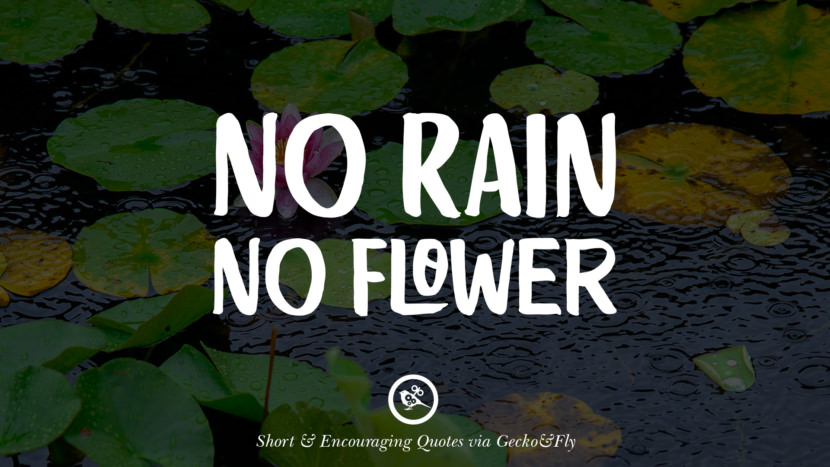No rain, no flower.