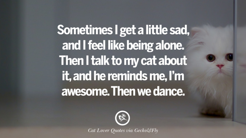 Sometimes I get a little sad, and I feel like being alone. Then I talk to my cat about it, and he reminds me, I'm awesome. Then we dance.