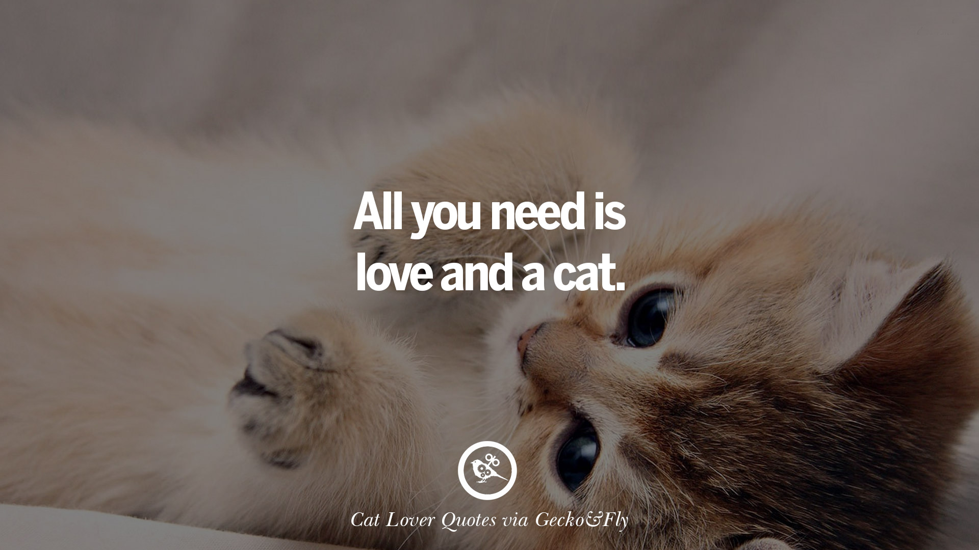 All you need is love and a cat