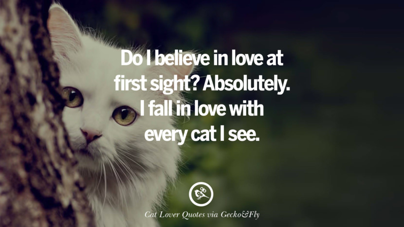 Do I believe in love at first sight? Absolutely. I fall in love with every cat I see. Cute Cat Images With Quotes For Crazy Cat Ladies, Gentlemen And Lovers