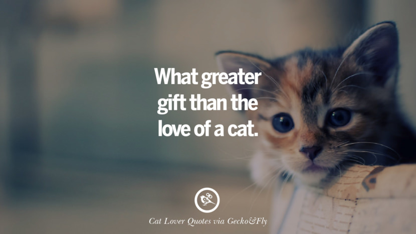 What greater gift than the love of a cat.