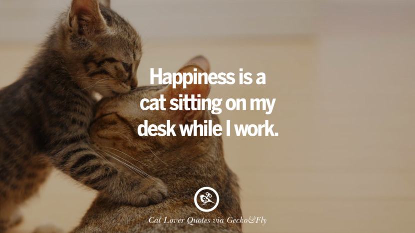 Happiness is a cat sitting on  my desk while I work.