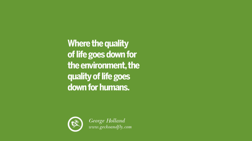 30 Sustainability Quotes On Recycling, Energy, Ecology, And Biodiversity