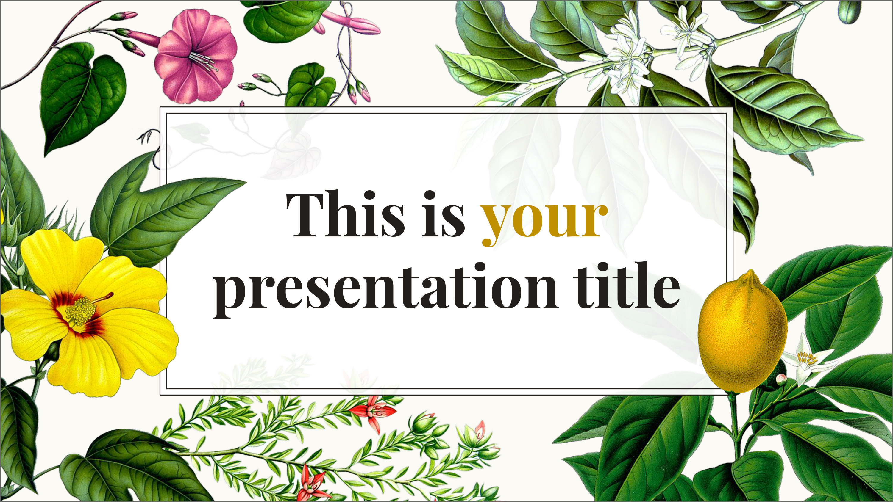 microsoft powerpoint presentation themes free download