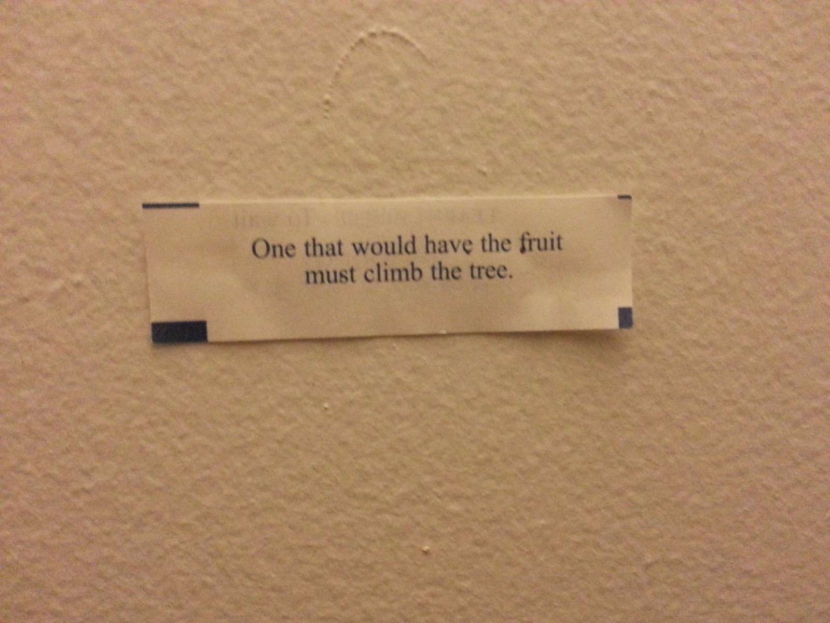 One that would have the fruit must climb the tree. Photo of Chinese Fortune Cookie